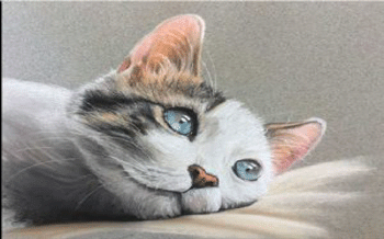 نقاشی گربه با پاستل