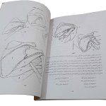 کتاب مکانیسم بدن انسان در طراحی